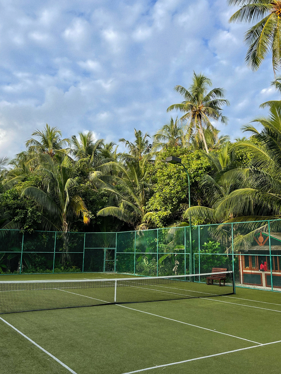 Tropical grass court surrounded by palm trees